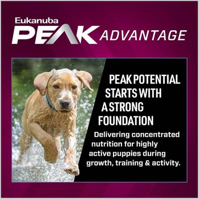 Premium Performance Puppy Pro Dry Dog Food, 28-lb bag