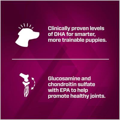 Premium Performance Puppy Pro Dry Dog Food, 28-lb bag