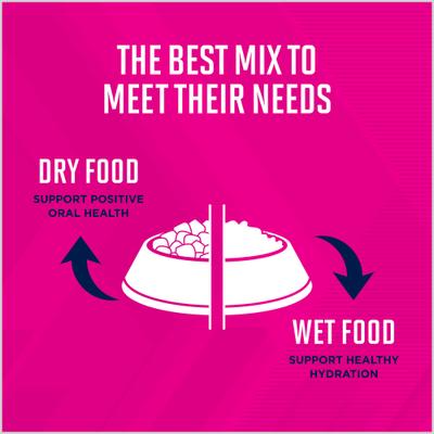 Premium Performance Puppy Pro Dry Dog Food, 28-lb bag