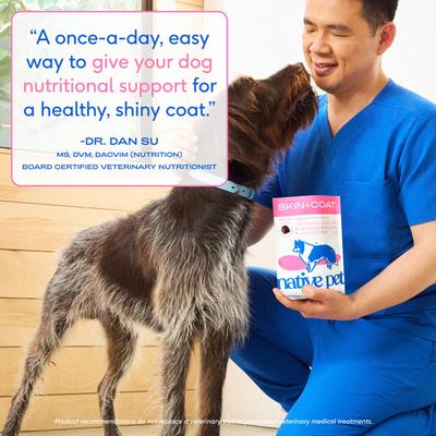 Skin & Coat Chews with Omega-3 Dry Skin Supplement for Dogs, 120 count