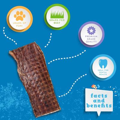 6-inch Joint Health Flat Beef Gullet Dog Chews, 25 count