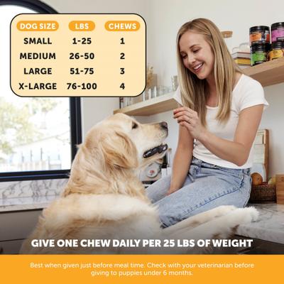 Max Strength Allergy Relief for Itching, Immune & Skin Support Chicken Flavored Chews Supplement for Dogs, 90 count