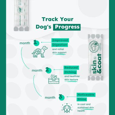 Skin & Coat Powder Supplement for Dogs, 30 count