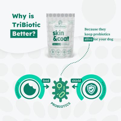 Skin & Coat Powder Supplement for Dogs, 30 count