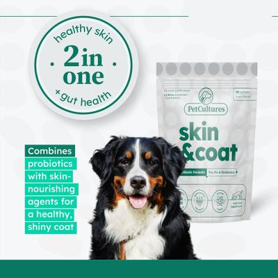 Skin & Coat Powder Supplement for Dogs, 30 count