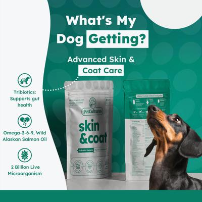 Skin & Coat Powder Supplement for Dogs, 30 count