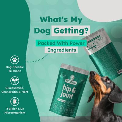 Hip & Joint Powder Supplement for Dogs, 30 count