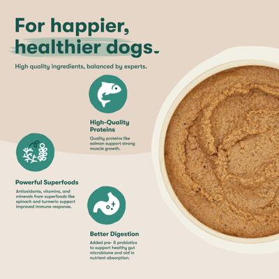 Salmon & Vegetables Recipe Grain-Free Wet Dog Food, 13-oz can, case of 12