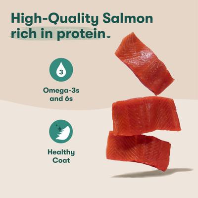 Salmon & Vegetables Recipe Grain-Free Wet Dog Food, 13-oz can, case of 12