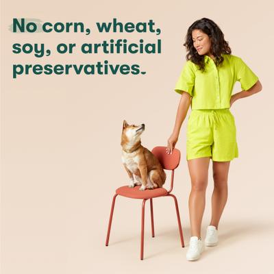 Beef & Vegetables Recipe Grain-Free Wet Dog Food, 13-oz can, case of 12