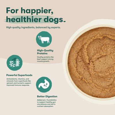 Beef & Vegetables Recipe Grain-Free Wet Dog Food, 13-oz can, case of 12