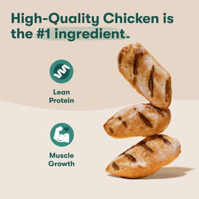 Alimento húmedo para perros con pollo y salmón, paquete variado, lata de 13 oz, caja de 12