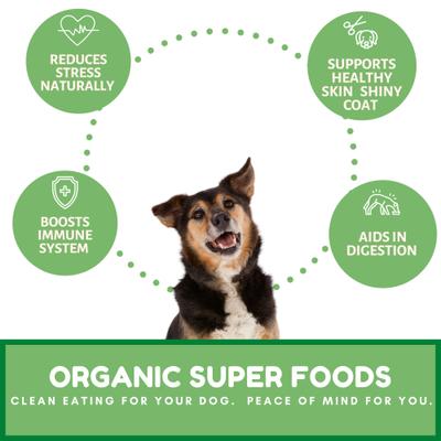 Organic Sweet Potato & Kale Dog Treats, 6-oz bag