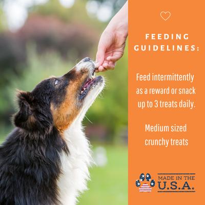 Organic Pumpkin Snaps Dog Treats, 6-oz bag