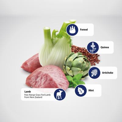 N&D Quinoa Feline Lamb, Fennel & Mint Digestion Dry Cat Food, 8.8-lb bag