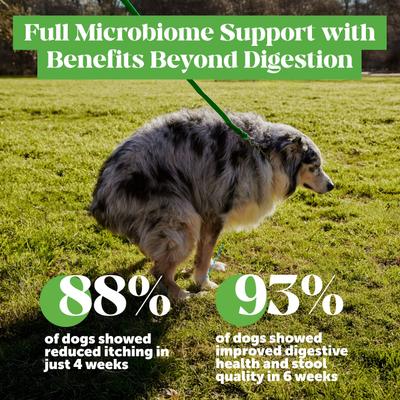 Super Pooper Max Strength Chicken Flavored Soft Chews Digestive Support for Dogs, 90 count