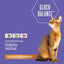 Gluco-Balance Trial Variety Pack Grain-Free Wet Cat Food, 2.8-oz can, case of 3