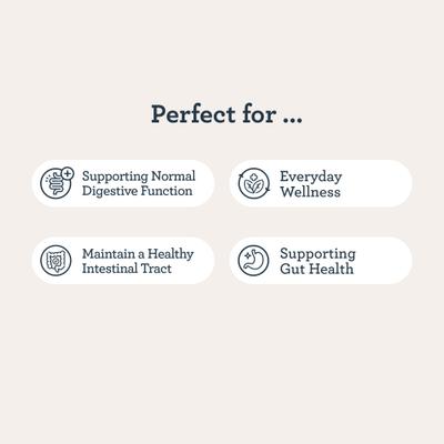 3-in-1 Pre + Post + Probiotic Salmon Flavor Chew Supplement for Dogs, 90 count