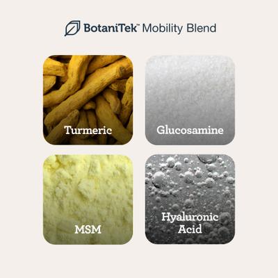 Hip & Joint Beef Flavored Chew Supplement for Dogs, 75 count