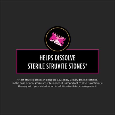 UR Savory Selects Urinary Ox/St with Chicken & with Salmon in Gravy Variety Pack Wet Dog Food, 13.3-oz can, case of 12