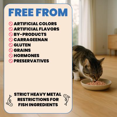 HQS Complete Tuna Recipe with Pumpkin in gravy Cat Wet Food, 9.87-oz can, case of 12