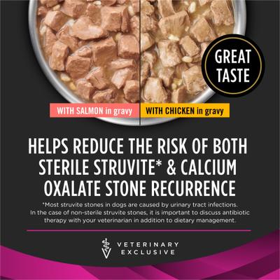 UR Savory Selects Urinary Ox/St with Chicken & with Salmon in Gravy Variety Pack Wet Dog Food, 13.3-oz can, case of 12