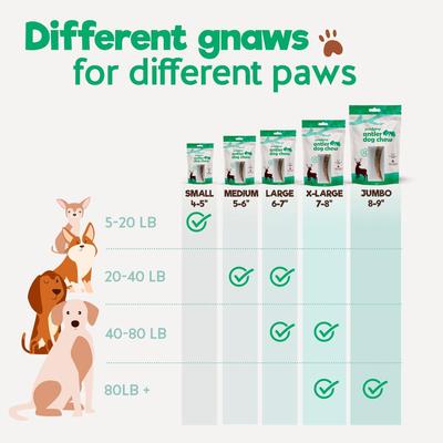 Whole Elk Antler 8-in Natural Flavor Dog Chew