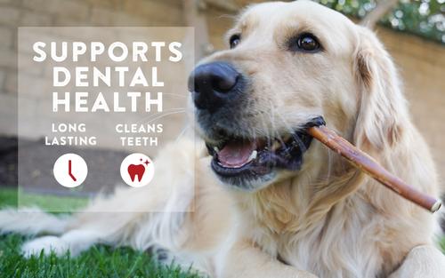 Premium 4-6 in Single Ingredient Bully Stick Dog Chews, 2.2-oz bag