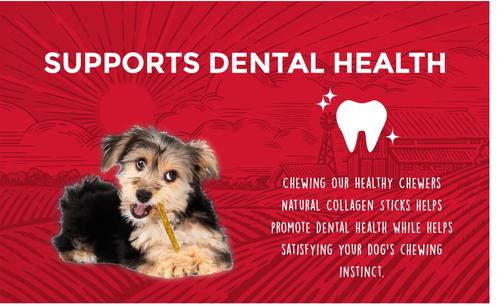 Healthy Chewers Natural Collagen & Beef Sticks High Protein Dog Chews, 21.1-oz bag, 100 count