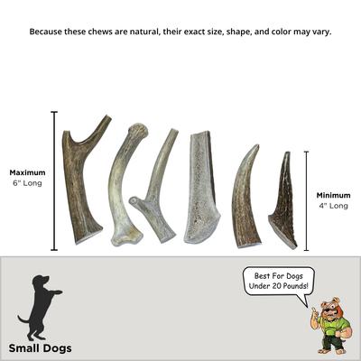 4 to 6-inch Deer & Elk Antler Dog Chews, 6 count