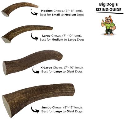 Jumbo 8 to 12-inch Whole Elk Antler Dog Chew