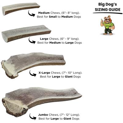 Jumbo 7 to 12-inch Split Elk Antler Dog Chew