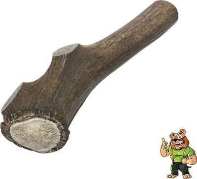 Masticable gigante de asta de alce entera para perros de 8 a 12 pulgadas