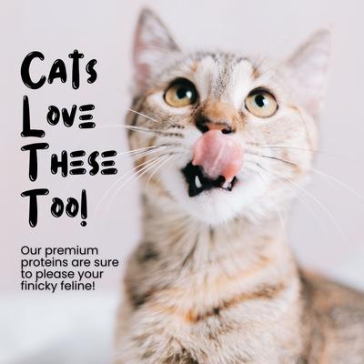 Beef Lung Dehydrated Dog Treats, 1-lb bag