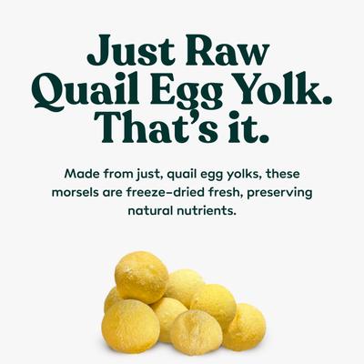 Grain-Free Freeze-Dried Quail Egg Yolk Dog Treats, 4.2-oz jar