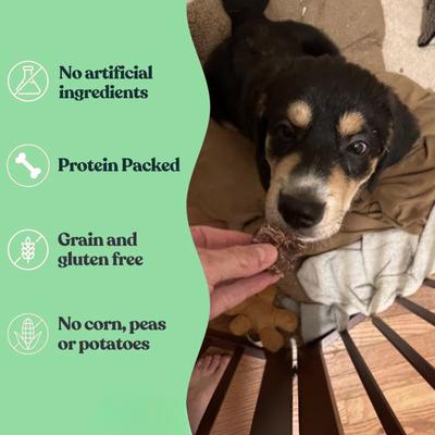 Beef Lung Dehydrated Dog Treats, 1-lb bag