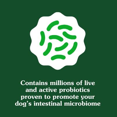 Digestive Health Chicken Flavored Soft Chew Digestive Supplement for Dogs, 80 count