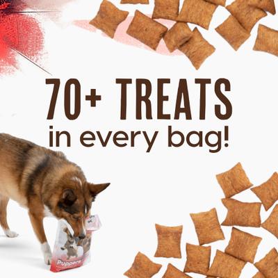 Puppers Crunchy Chicken with Bone Marrow & Bone Broth High Protein Crunchy Dog Treats, 12-oz bag