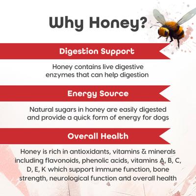 Puppers Crunchy Chicken with Bone Marrow & Bone Broth High Protein Crunchy Dog Treats, 12-oz bag