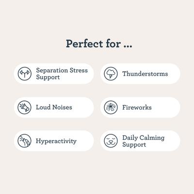 All Day Calming Bone Bacon Flavored Calming Supplement Refill for Dogs, 28 count