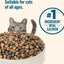 Whole Health Blend Salmon & Brown Rice Recipe Dry Cat Food (Rachael Ray), 14-lb bag