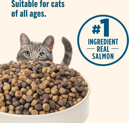 Whole Health Blend Salmon & Brown Rice Recipe Dry Cat Food (Rachael Ray), 14-lb bag