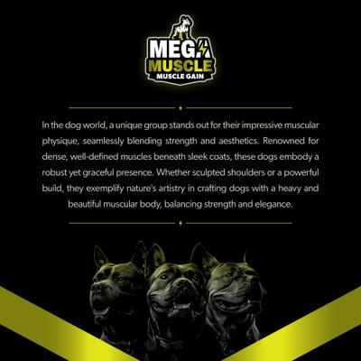 Mega Muscle Muscle Gain 2-in-1 Daily Booster & Multivitamin Chewable Tablets for Dogs, 60 count