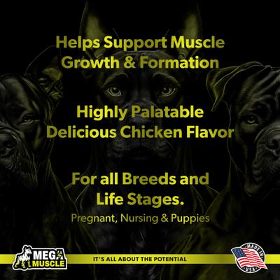 Mega Muscle Muscle Gain 2-in-1 Daily Booster & Multivitamin Chewable Tablets for Dogs, 60 count