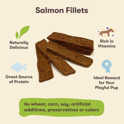 Salmon Fillets Jerky Dog Treats, 16-oz bag, bundle of 2