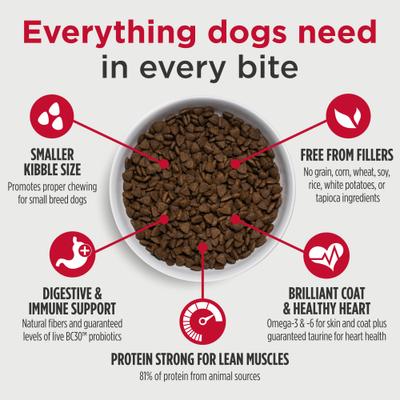FreeStyle High Protein Small Breed Beef & Sweet Potato Recipe Dry Dog Food, 14-lb bag