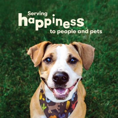 Salmon Fillets Jerky Dog Treats, 16-oz bag, bundle of 2