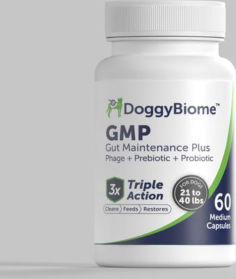 GMP Capsule Digestive Aid Supplement for Dogs, Small, 60 count