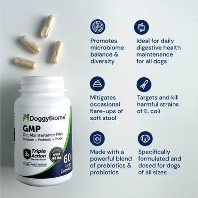 GMP Capsule Digestive Aid Supplement for Dogs, Small, 60 count