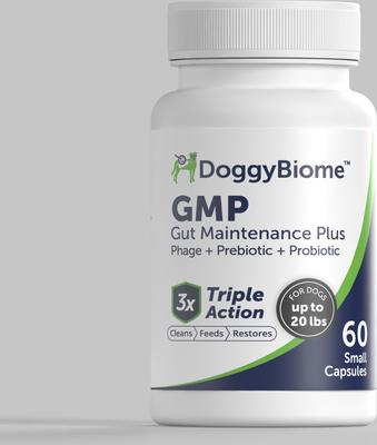 GMP Capsule Digestive Aid Supplement for Dogs, Small, 60 count